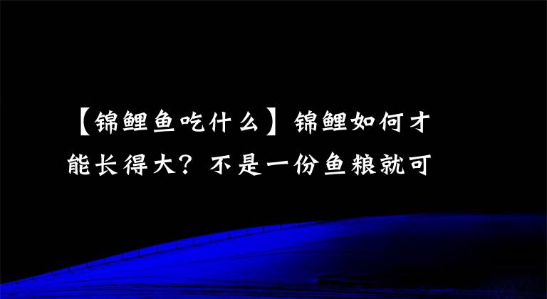 【锦鲤鱼吃什么】锦鲤如何才能长得大？不是一份鱼粮就可以解决的