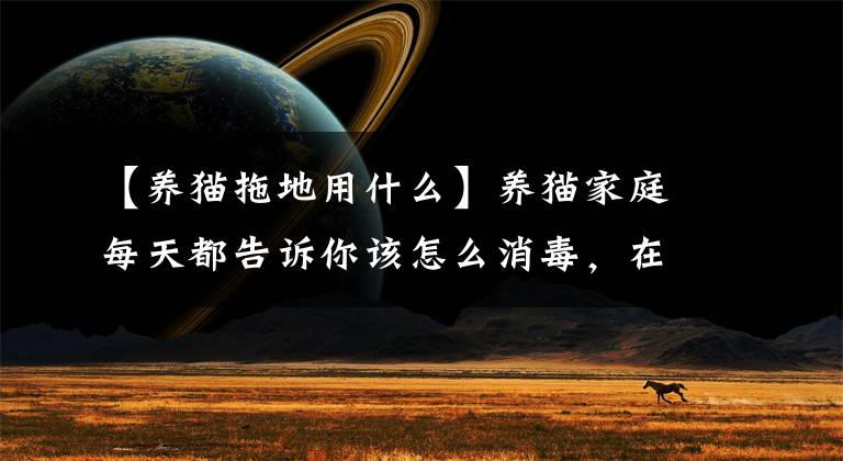 【养猫拖地用什么】养猫家庭每天都告诉你该怎么消毒，在哪里消毒，这句话。文章配图