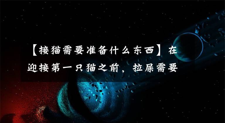 【接猫需要准备什么东西】在迎接第一只猫之前，拉屎需要准备什么东西？八件就够了文章配图