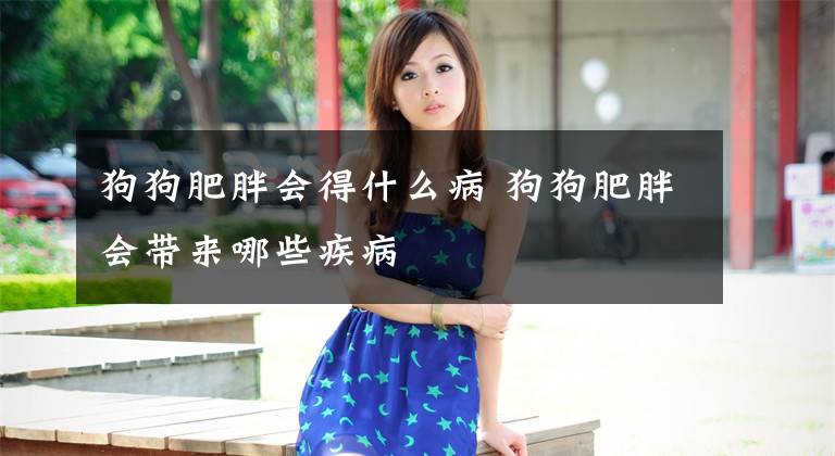 狗狗肥胖会得什么病 狗狗肥胖会带来哪些疾病文章配图