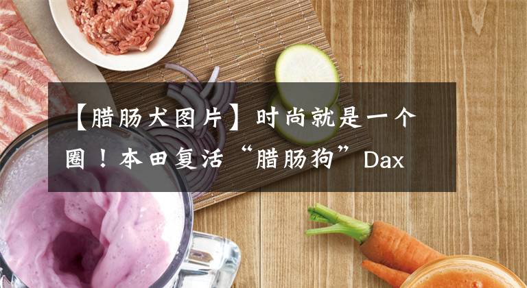 【腊肠犬图片】时尚就是一个圈！本田复活“腊肠狗”Dax 125