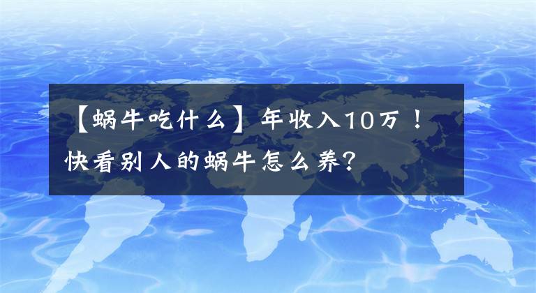 【蜗牛吃什么】年收入10万！快看别人的蜗牛怎么养？