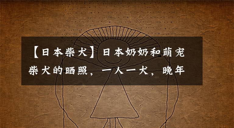 【日本柴犬】日本奶奶和萌宠柴犬的晒照，一人一犬，晚年生活过得又暖又精彩