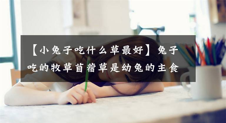 【小兔子吃什么草最好】兔子吃的牧草苜蓿草是幼兔的主食草