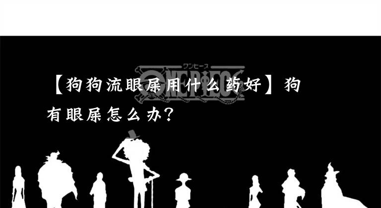 【狗狗流眼屎用什么药好】狗有眼屎怎么办？文章配图