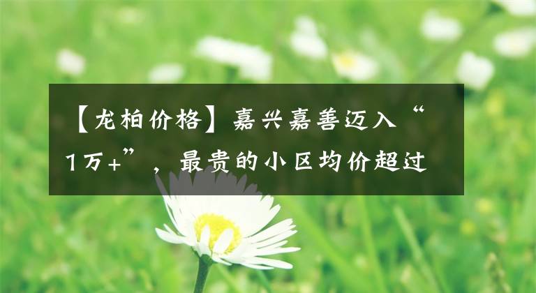 【龙柏价格】嘉兴嘉善迈入“1万+”，最贵的小区均价超过6万/平