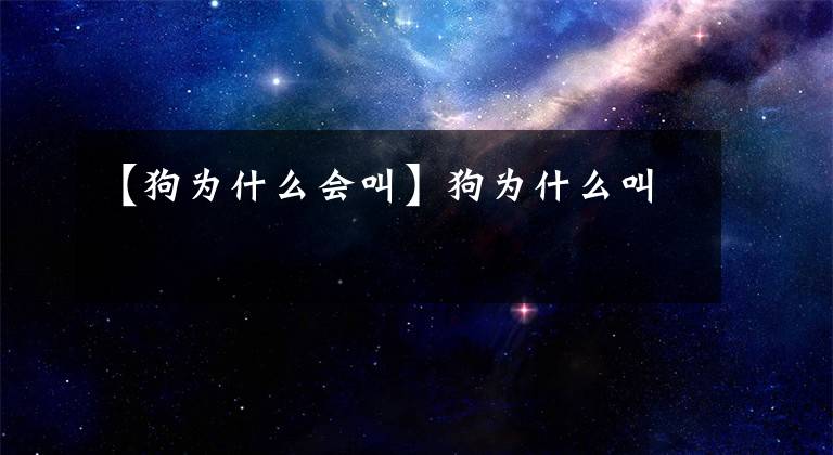 【狗为什么会叫】狗为什么叫