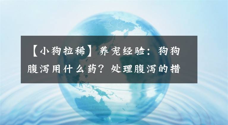 【小狗拉稀】养宠经验：狗狗腹泻用什么药？处理腹泻的措施参考