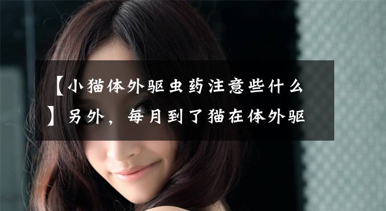 【小猫体外驱虫药注意些什么】另外，每月到了猫在体外驱虫的日子，如果不注意这几点，就会出现问题。文章配图