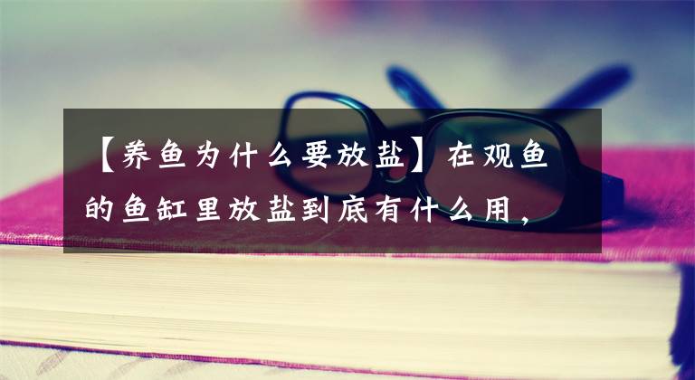 【养鱼为什么要放盐】在观鱼的鱼缸里放盐到底有什么用，怎么办才好？文章配图