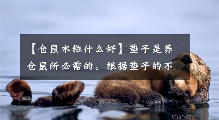 【仓鼠木粒什么好】垫子是养仓鼠所必需的。根据垫子的不同，效果也不同。仓鼠使用锯末或纸面。文章配图