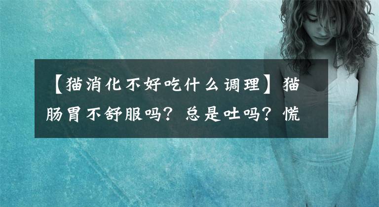 【猫消化不好吃什么调理】猫肠胃不舒服吗？总是吐吗？慌了，不知道该怎么办文章配图