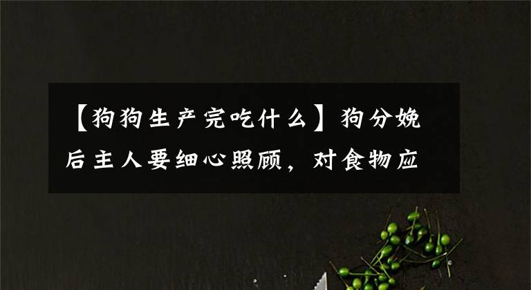 【狗狗生产完吃什么】狗分娩后主人要细心照顾，对食物应该有什么要求？文章配图