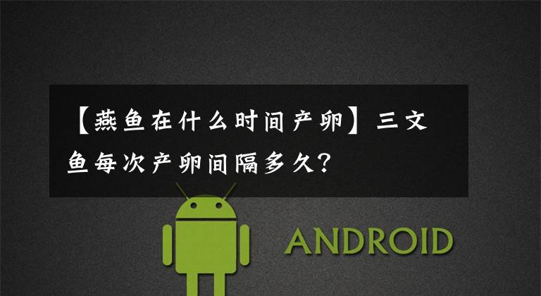【燕鱼在什么时间产卵】三文鱼每次产卵间隔多久？文章配图