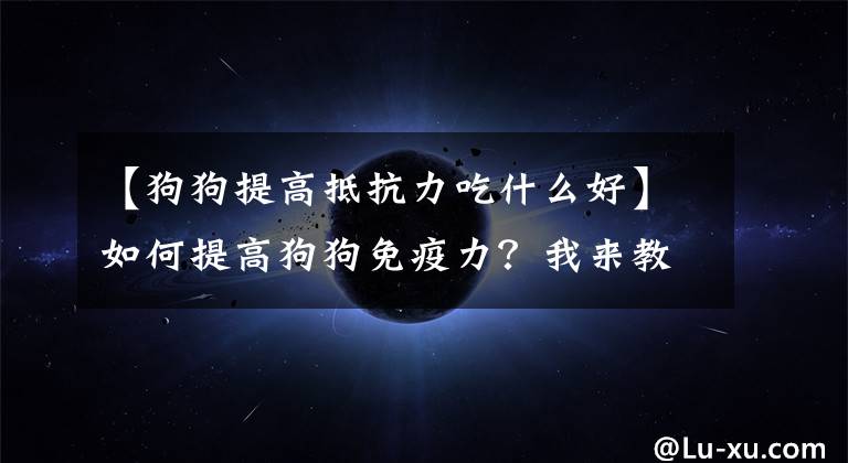 【狗狗提高抵抗力吃什么好】如何提高狗狗免疫力？我来教你七种方法。请收好文章配图