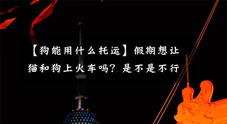 【狗能用什么托运】假期想让猫和狗上火车吗？是不是不行！最完全委托的宠物指南来了文章配图
