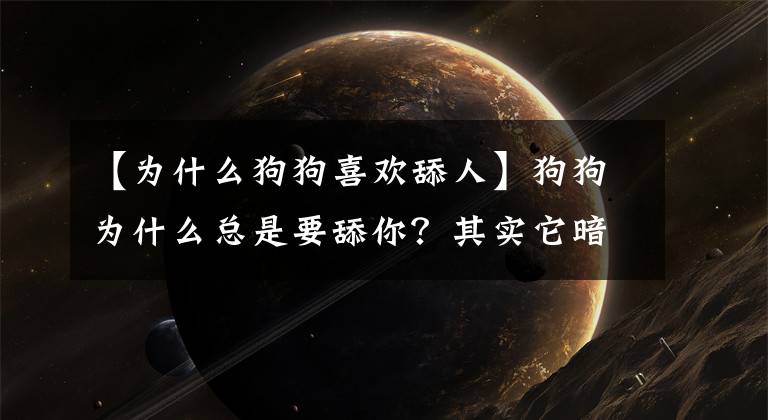 【为什么狗狗喜欢舔人】狗狗为什么总是要舔你？其实它暗示着你这5个信息