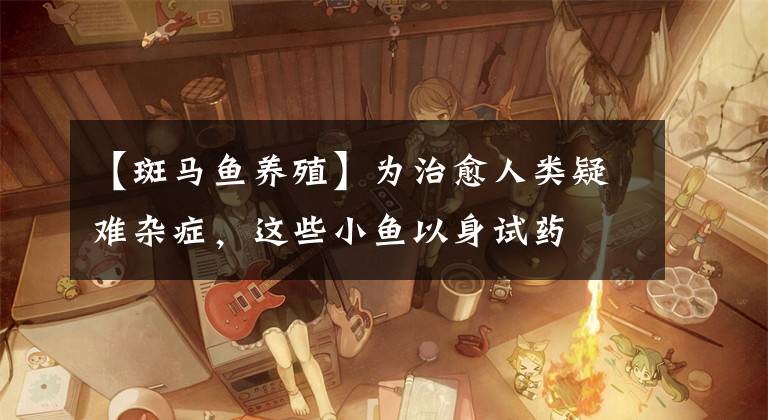 【斑马鱼养殖】为治愈人类疑难杂症，这些小鱼以身试药