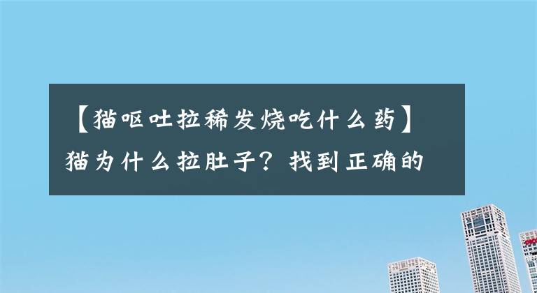 【猫呕吐拉稀发烧吃什么药】猫为什么拉肚子？找到正确的原因，就能轻易治愈文章配图