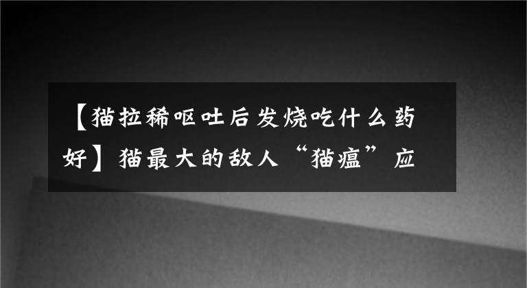 【猫拉稀呕吐后发烧吃什么药好】猫最大的敌人“猫瘟”应该如何预防和治疗，日常生活习惯很重要文章配图