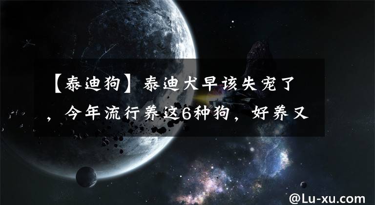 【泰迪狗】泰迪犬早该失宠了，今年流行养这6种狗，好养又不贵