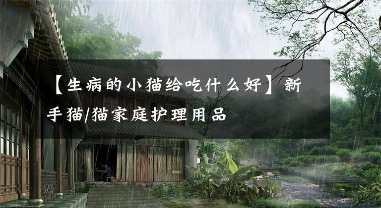 【生病的小猫给吃什么好】新手猫/猫家庭护理用品文章配图