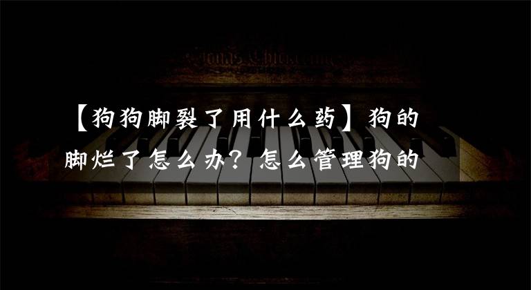 【狗狗脚裂了用什么药】狗的脚烂了怎么办？怎么管理狗的脚掌？文章配图