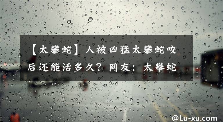 【太攀蛇】人被凶猛太攀蛇咬后还能活多久？网友：太攀蛇一口毒死两头大象！