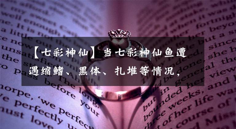 【七彩神仙】当七彩神仙鱼遭遇缩鳍、黑体、扎堆等情况，需要考虑哪些问题？