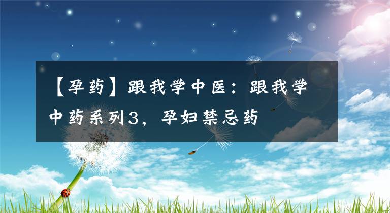 【孕药】跟我学中医：跟我学中药系列3，孕妇禁忌药