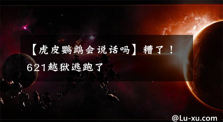 【虎皮鹦鹉会说话吗】糟了！621越狱逃跑了