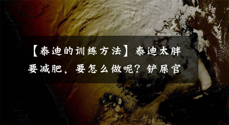 【泰迪的训练方法】泰迪太胖要减肥，要怎么做呢？铲屎官们快来学