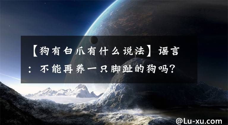 【狗有白爪有什么说法】谣言：不能再养一只脚趾的狗吗？不要多想，狼脚趾真的没那么可怕文章配图