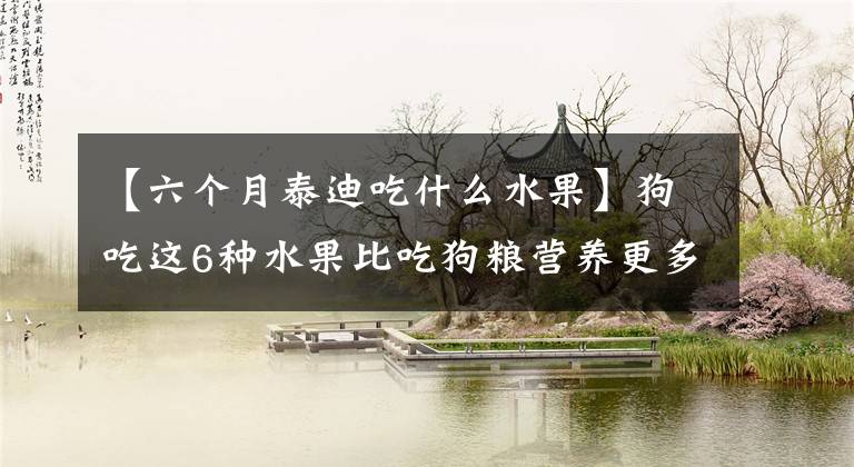 【六个月泰迪吃什么水果】狗吃这6种水果比吃狗粮营养更多，宠主还不快点喂。文章配图