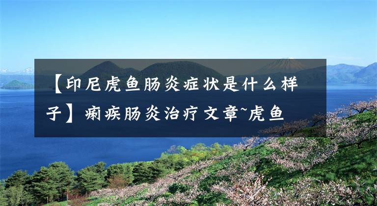 【印尼虎鱼肠炎症状是什么样子】痢疾肠炎治疗文章~虎鱼文章配图