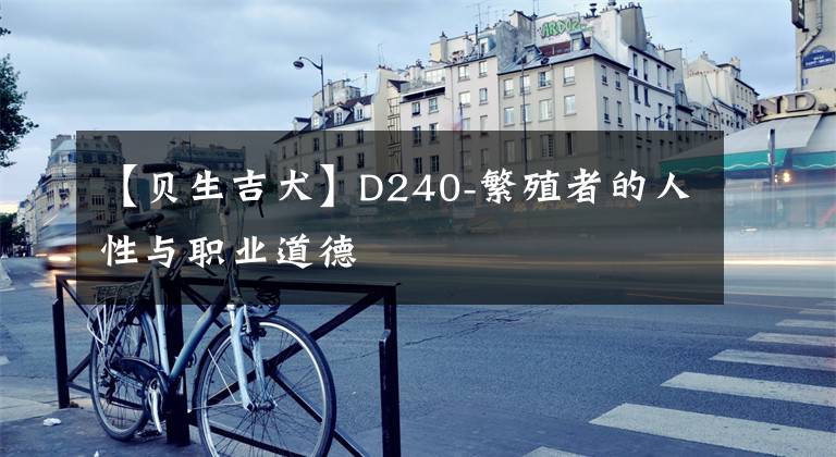 【贝生吉犬】D240-繁殖者的人性与职业道德