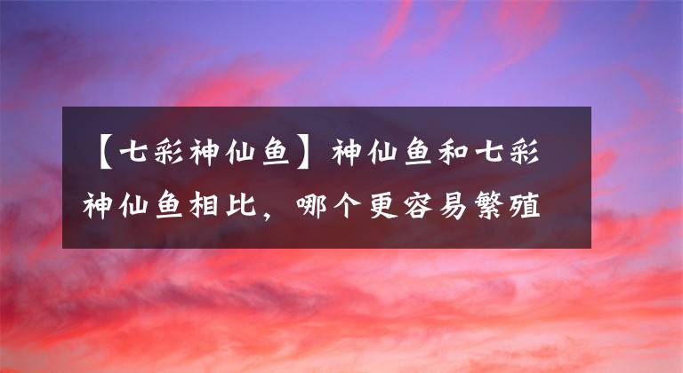 【七彩神仙鱼】神仙鱼和七彩神仙鱼相比，哪个更容易繁殖，各有什么优缺点？