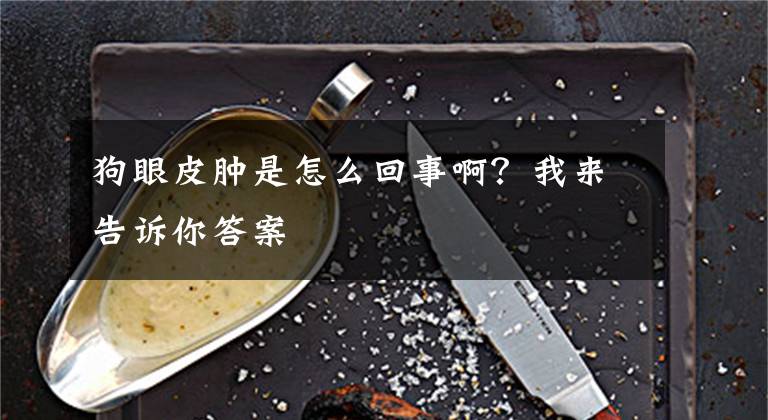 狗眼皮肿是怎么回事啊？我来告诉你答案文章配图