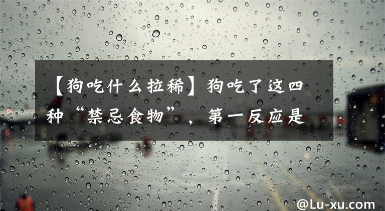 【狗吃什么拉稀】狗吃了这四种“禁忌食物”，第一反应是腹泻。失去的可能性很大文章配图