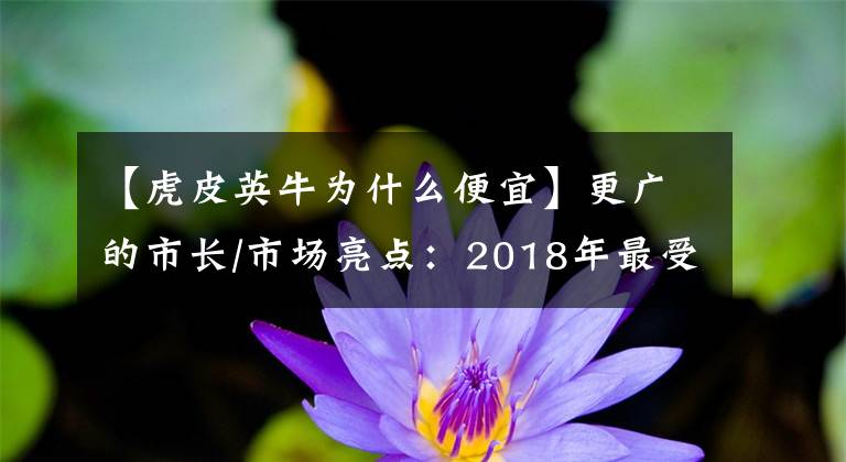 【虎皮英牛为什么便宜】更广的市长/市场亮点：2018年最受欢迎的鹦鹉(中小型鹦鹉)排行榜|收藏文章配图