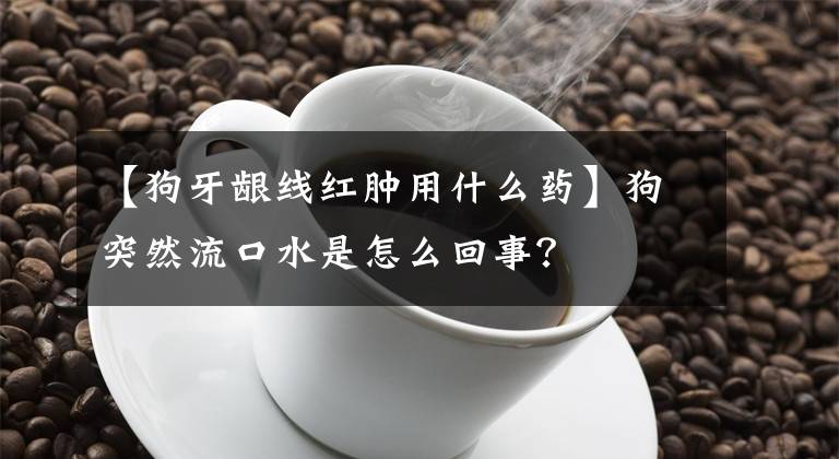 【狗牙龈线红肿用什么药】狗突然流口水是怎么回事？文章配图