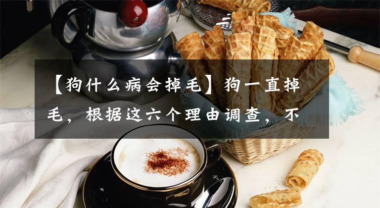 【狗什么病会掉毛】狗一直掉毛，根据这六个理由调查，不要在家洗狗毛！文章配图