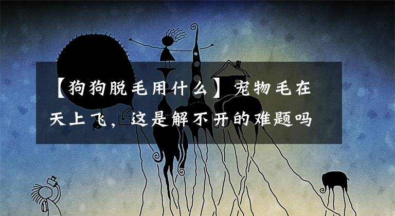 【狗狗脱毛用什么】宠物毛在天上飞，这是解不开的难题吗？评价几种值得拥有的脱发神器文章配图