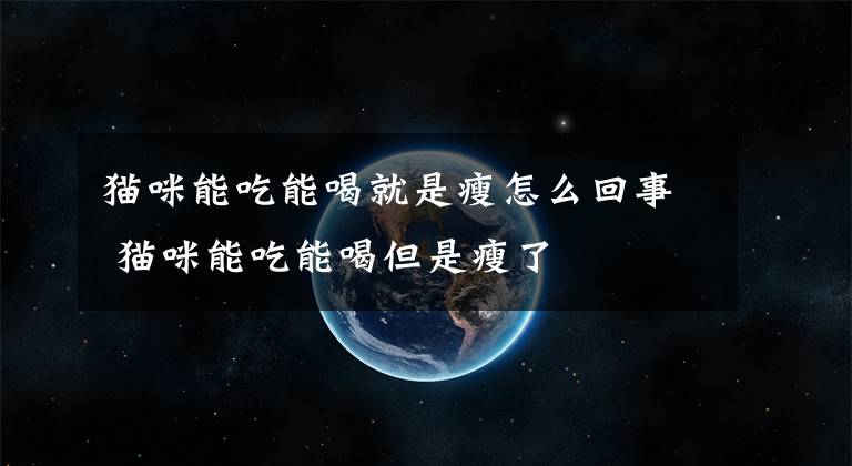 猫咪能吃能喝就是瘦怎么回事 猫咪能吃能喝但是瘦了文章配图