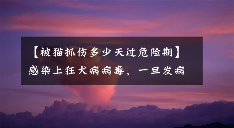 【被猫抓伤多少天过危险期】感染上狂犬病病毒，一旦发病，生存期不超过5天，几乎100%死亡