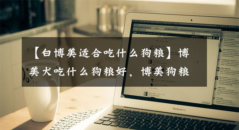 【白博美适合吃什么狗粮】博美犬吃什么狗粮好，博美狗粮怎么选？如何选择合适的狗粮文章配图