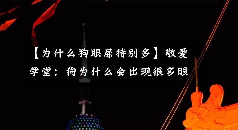 【为什么狗眼屎特别多】敬爱学堂：狗为什么会出现很多眼屎，怎么解决？文章配图