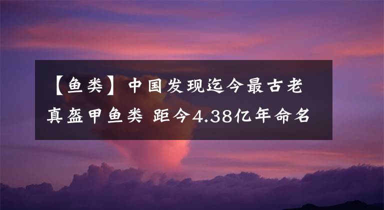 【鱼类】中国发现迄今最古老真盔甲鱼类 距今4.38亿年命名两个新属种