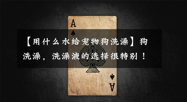 【用什么水给宠物狗洗澡】狗洗澡，洗澡液的选择很特别！文章配图