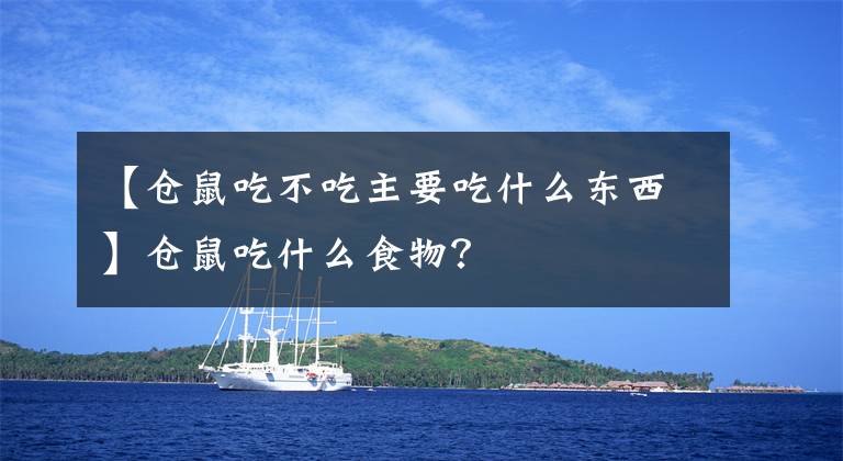 【仓鼠吃不吃主要吃什么东西】仓鼠吃什么食物？